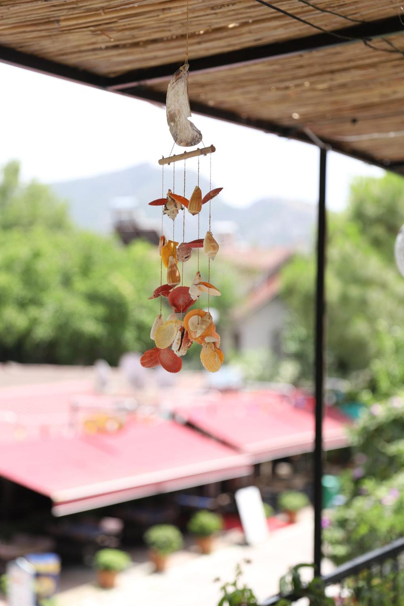Yeni Doga * Dalyan