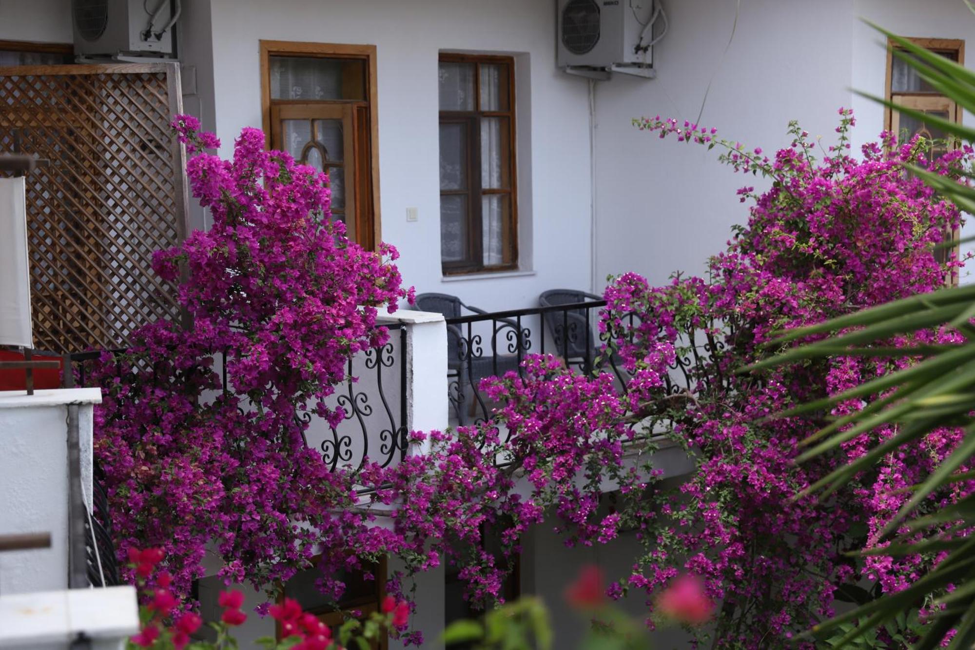 Yeni Doga Hotel Dalyan