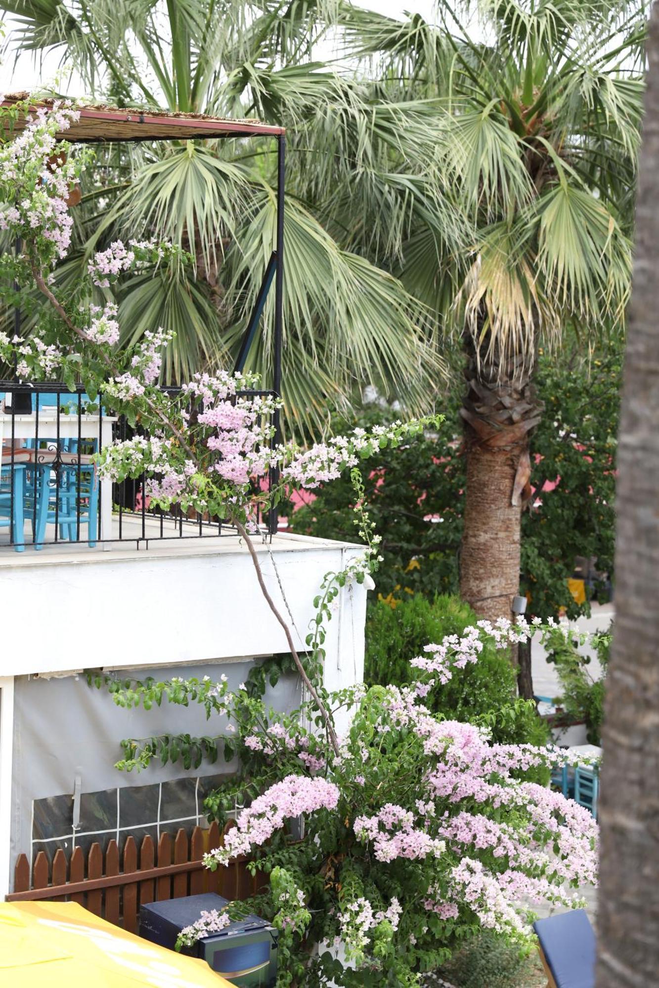 Hotel Yeni Doga Dalyan
