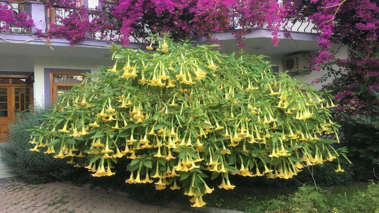 Hotel Yeni Doga Dalyan