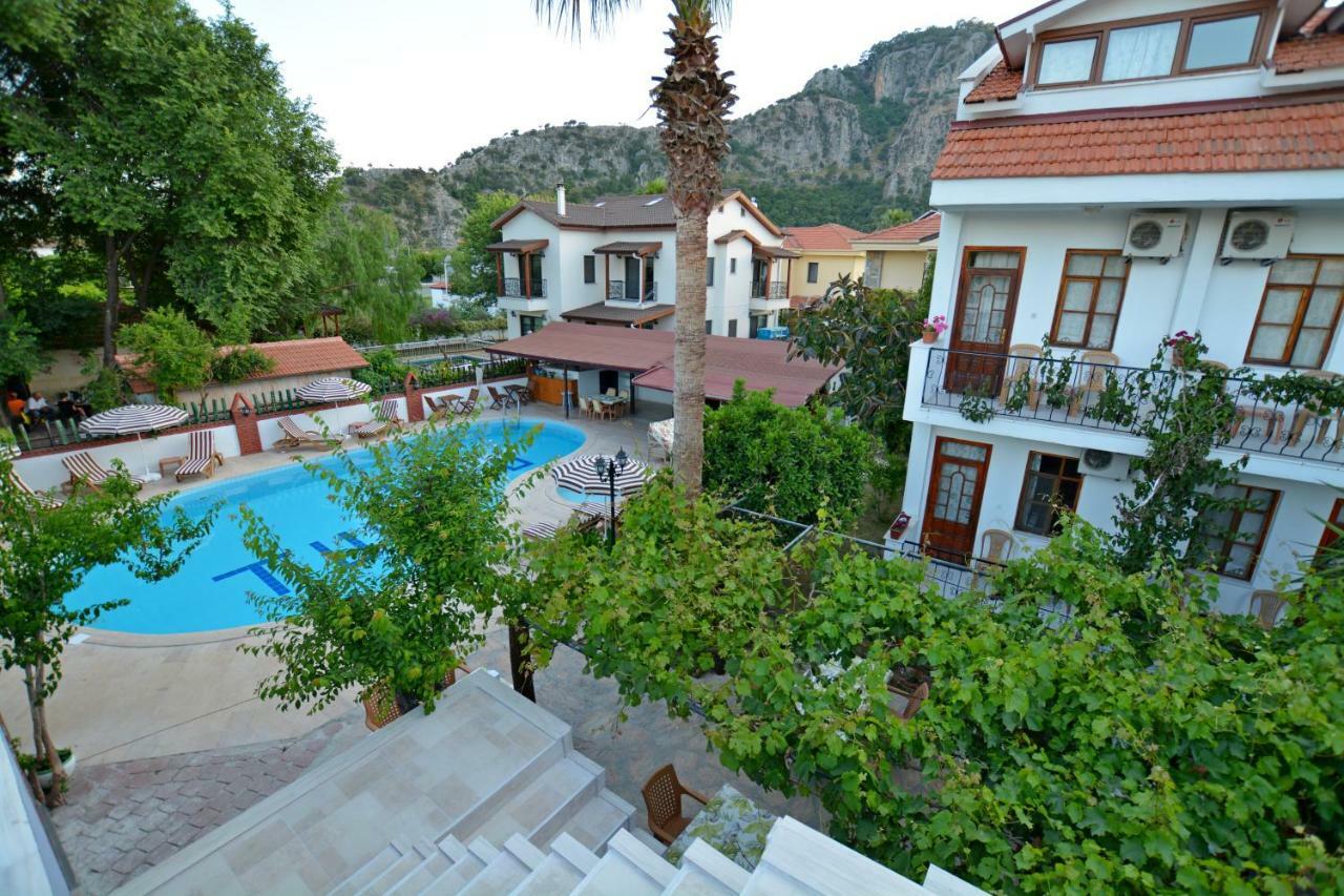 Yeni Doga Dalyan